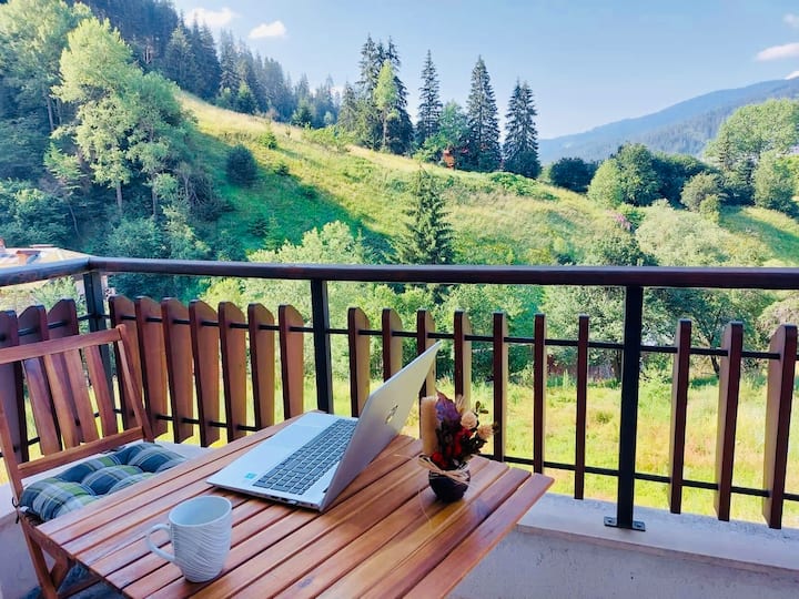Sunny mountain apartment with free parking