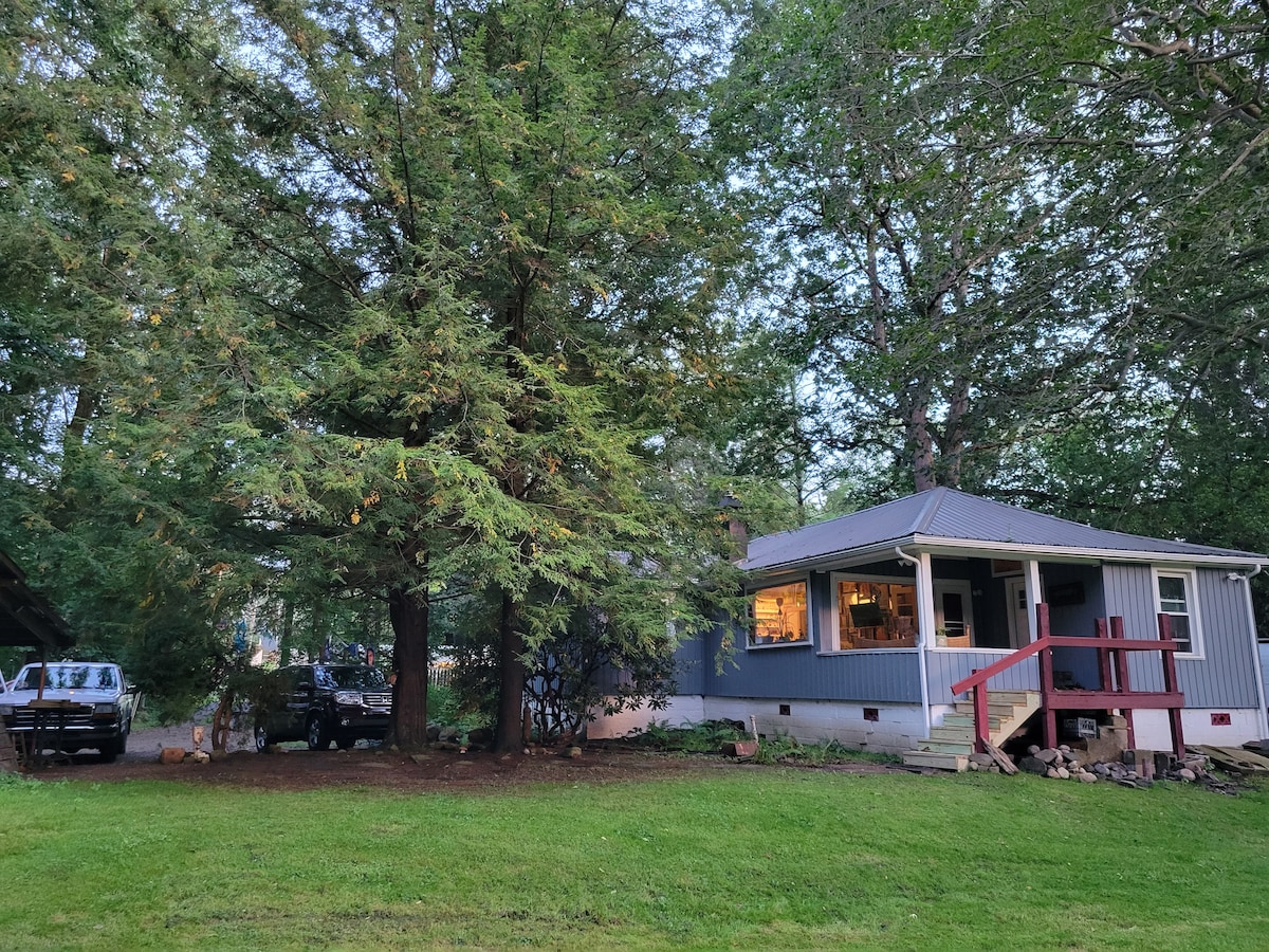 A rustic cabin is nestled among tall trees, showcasing a welcoming covered porch with red railings. The exterior features a mix of gray siding and a metal roof. Soft evening light is visible through the windows, hinting at a cozy interior.