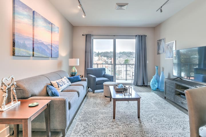 Beautiful Condo in the Heart of Downtown Asheville