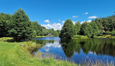 Charming cabin cloose to nature and next to water