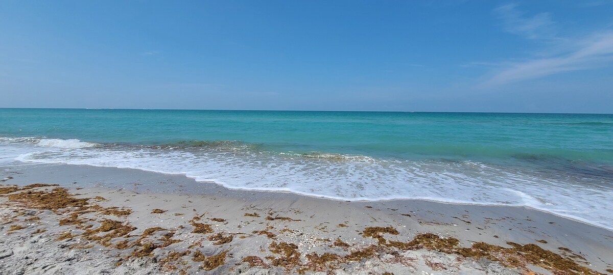 A serene beach scene showcases gentle waves lapping at the shore, with soft sand and patches of seaweed visible. The clear turquoise water meets a bright blue sky, creating a tranquil coastal atmosphere.