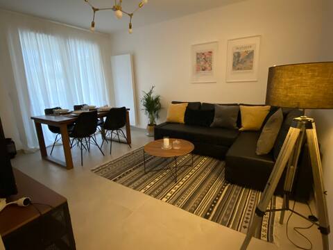 New apartment 5 minutes from UN /palexpo/Geneva