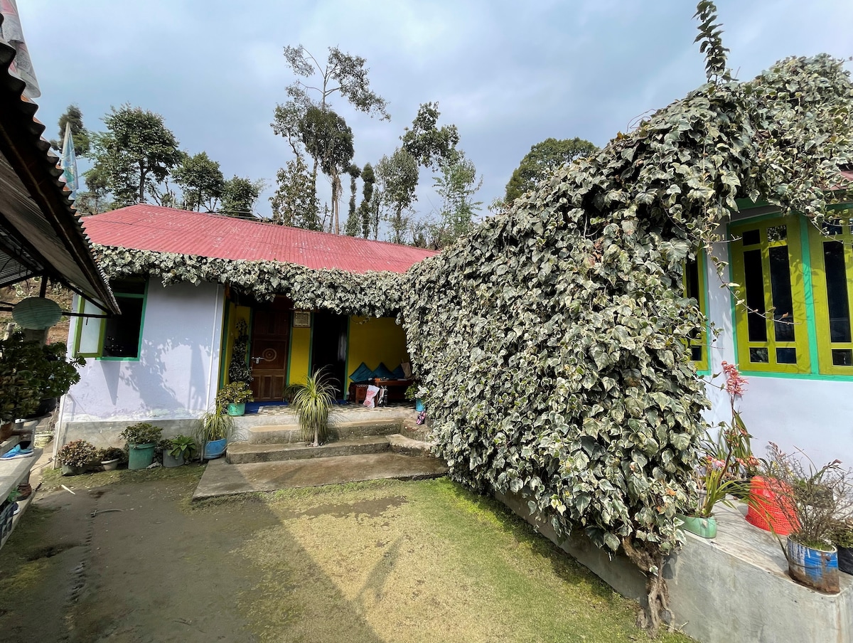 A quaint building is surrounded by lush greenery, featuring a vibrant red roof and bright green window frames. A gravel path, bordered by potted plants, leads to the entrance, with low steps visible in the foreground. Trees rise in the background, enhancing the serene setting.