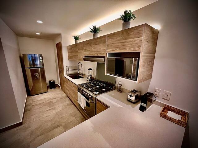 Lujoso depa: Sumaya, Antara, C Banamex, H Español gallery image 4