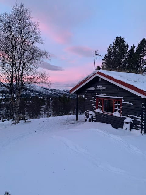 Traditional norwegian cabin