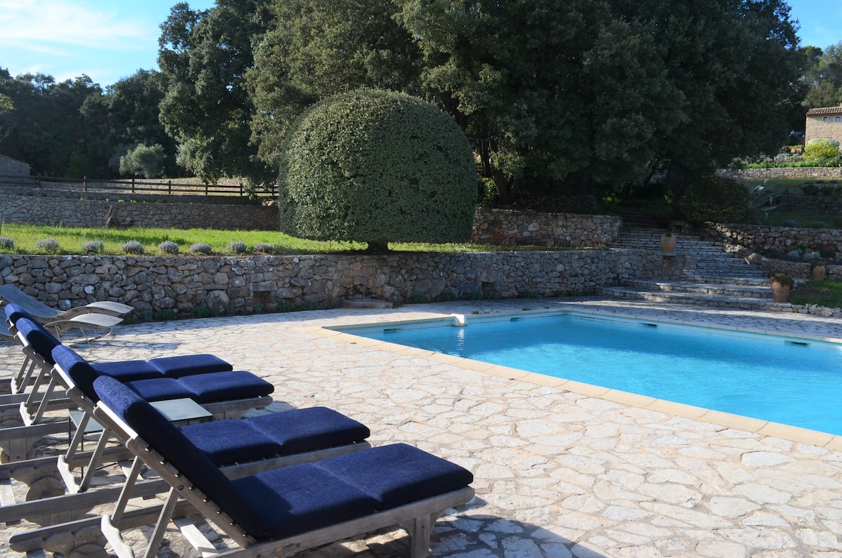 A stone terrace surrounds a rectangular pool with clear blue water, complemented by a neatly trimmed hedge. Six lounge chairs, featuring navy blue cushions, are lined up along the edge, offering a relaxing space to enjoy the outdoor setting.