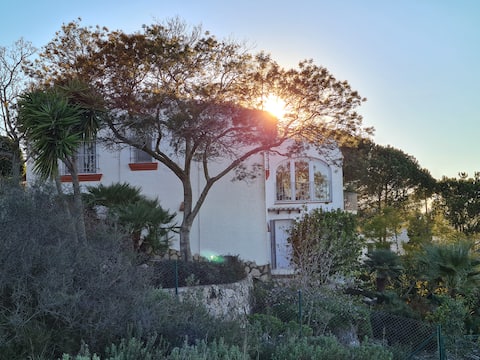 Splendid three bedroom villa with pool