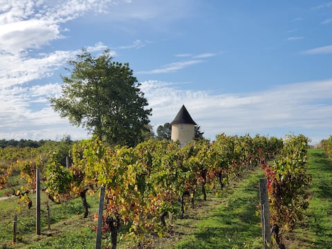 pretty 18th century mill, in the heart of the vineyards