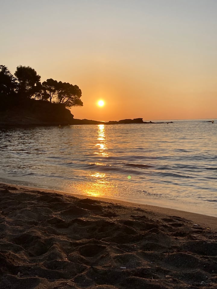 Apartment in Grifeu, spacious and close to the beach Apartments for