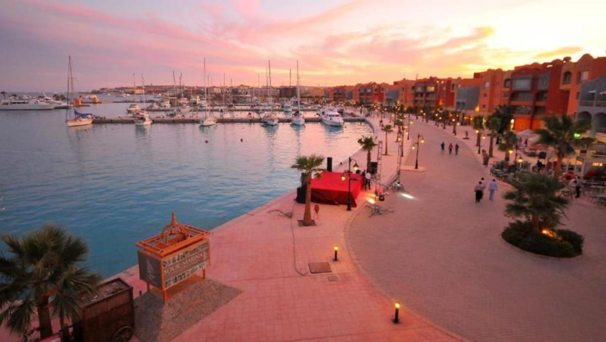 The image captures a picturesque marina with multiple boats docked along the calm water. A scenic walkway lined with palm trees is visible, accompanied by ambient lighting. The sunset paints the sky in soft hues, creating a serene backdrop for the vibrant marina setting.