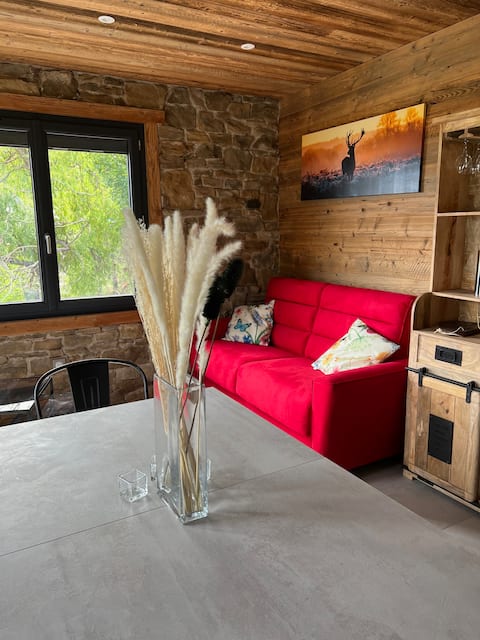 Chalet apartment with mountain view (hiking, lake, skiing)