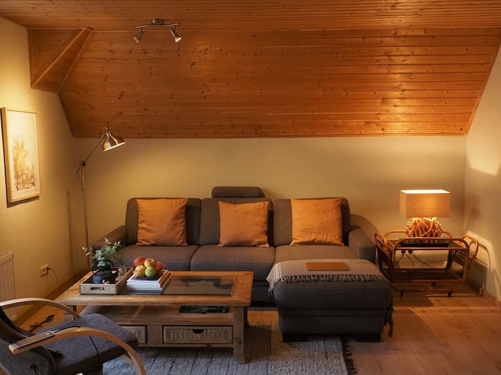 Villa Falkenstein - Ferienwohnung Ostrau - Bad Schandau