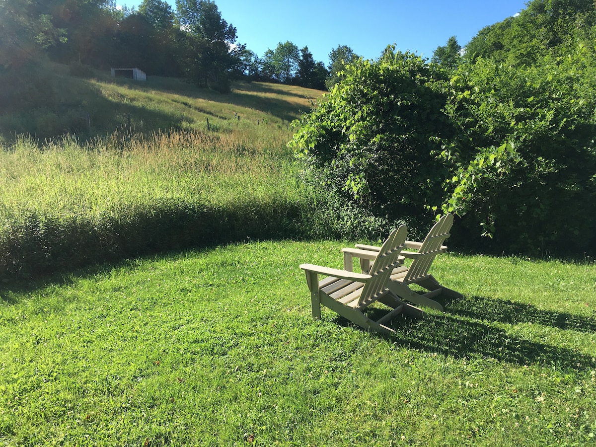 Two wooden adirondack chairs are positioned on a grassy area, facing a lush expanse of rolling hills and green foliage. Tall grass sways gently in the breeze, while trees provide a natural backdrop to the serene environment.