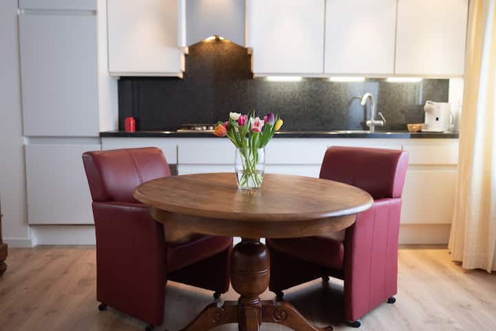 Mooi Appartement In Maastricht Sint-pieter - Maastricht