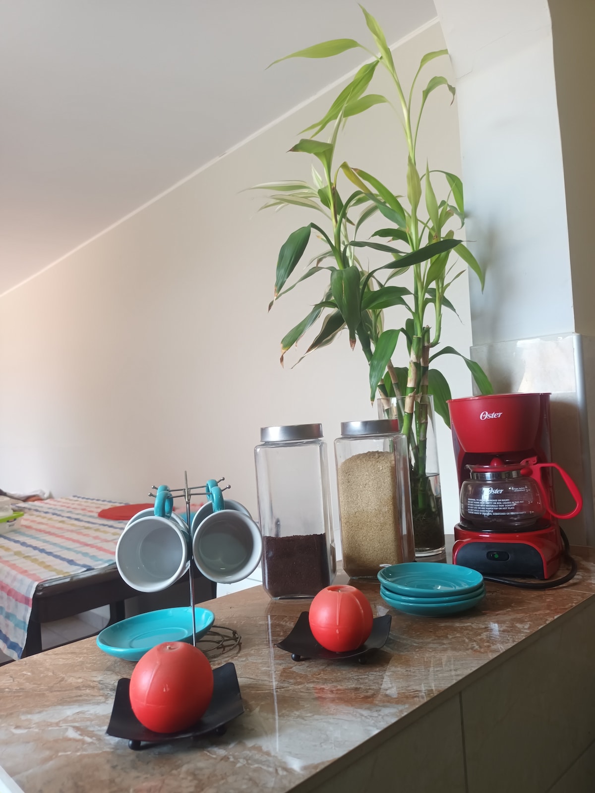 A kitchen counter displays a coffee maker next to glass jars of coffee and sugar. Two egg holders and bright red egg cups are placed on the surface. A tall green plant adds a touch of nature, with soft light illuminating the space.