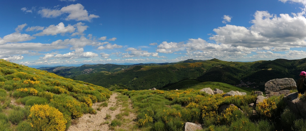 A panoramic view of rolling hills and verdant valleys is displayed, with patches of vibrant yellow flowers dotting the landscape. Soft clouds float in a bright blue sky, enhancing the natural beauty of the mountainous terrain below.
