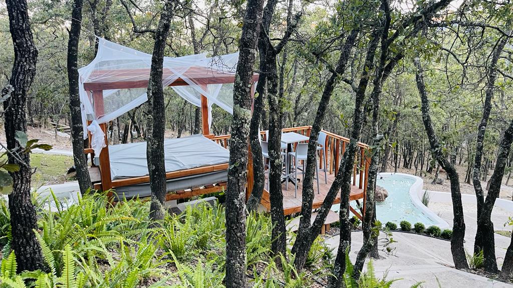 A wooden outdoor structure is nestled among trees, featuring a spacious shaded bed draped with light fabric. A dining area with chairs is nearby, surrounded by lush greenery and ferns, while a small pool is visible in the background, enhancing the natural setting.