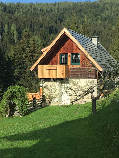Leistungsstarkes Airbnb: Vacation home in a secluded location plus farm experience in Stadl Predlitz