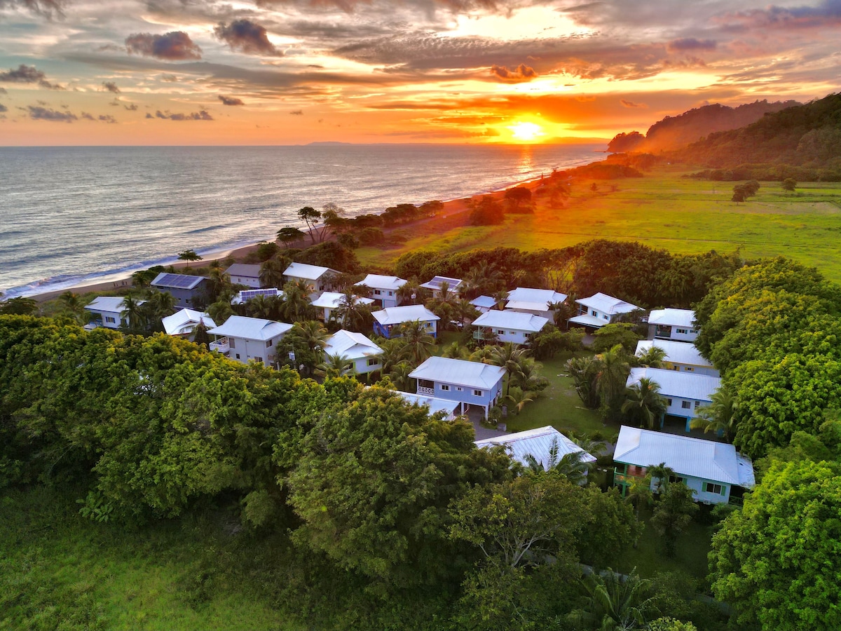 An aerial view captures a tranquil coastal neighborhood surrounded by lush greenery and a golden sunset. White-roofed bungalows are nestled within the landscape, with the ocean waves gently lapping at the shore in the background. The scene conveys a sense of serenity and natural beauty.