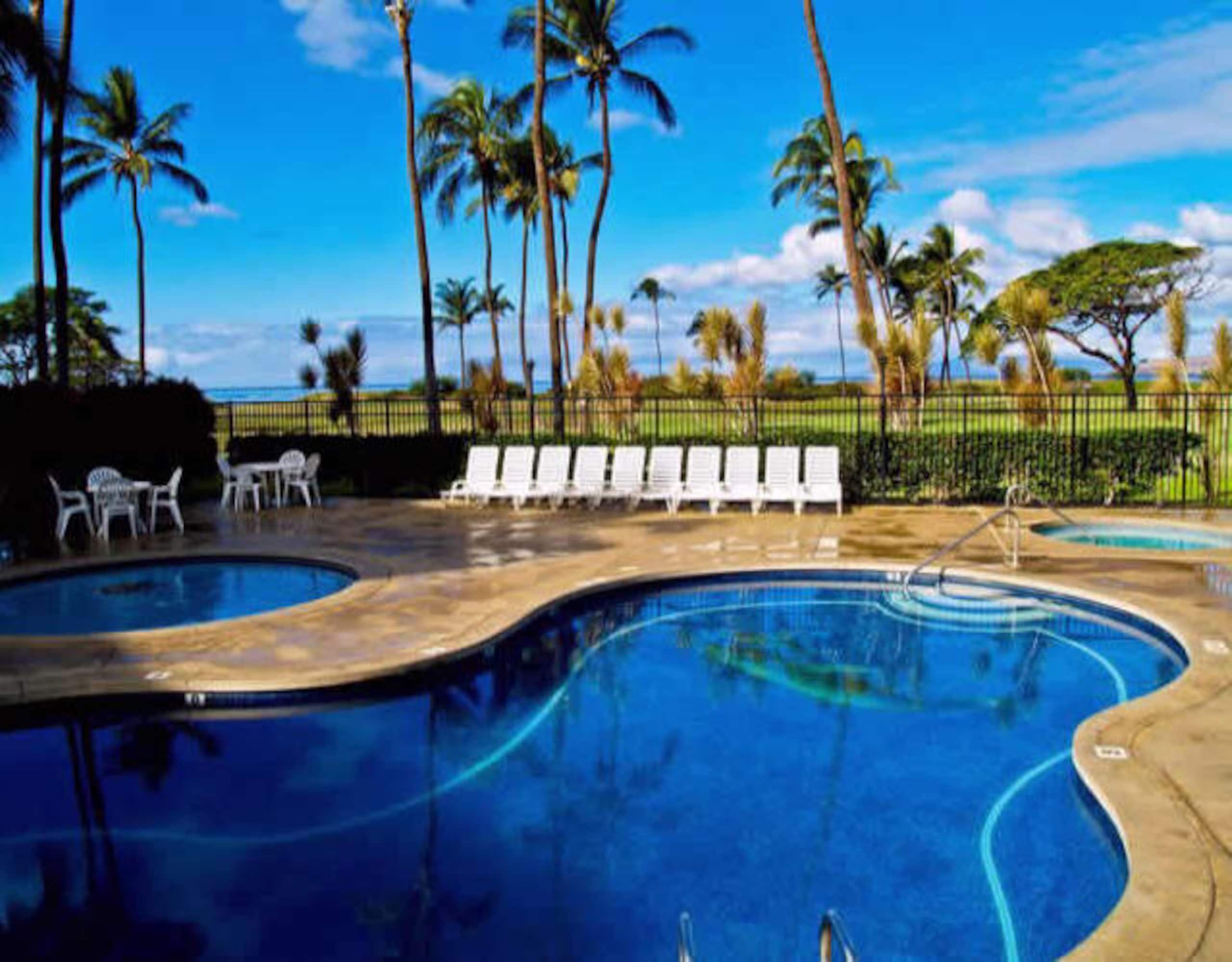 Condo in Kihei · ★4.95 · 1 bedroom · 1 bed · 1 private bath - Image 18