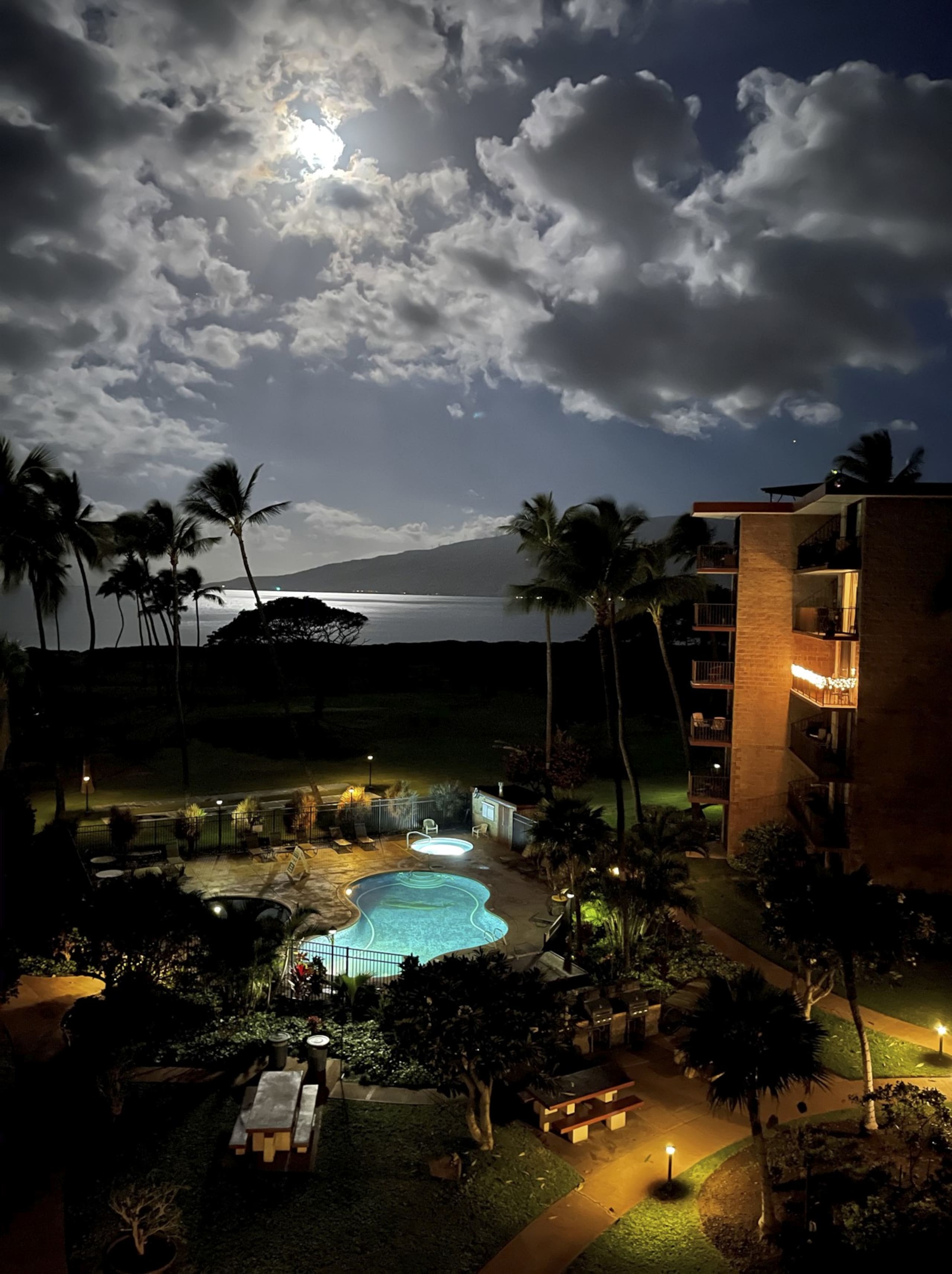 Condo in Kihei · ★4.95 · 1 bedroom · 1 bed · 1 private bath - Image 23