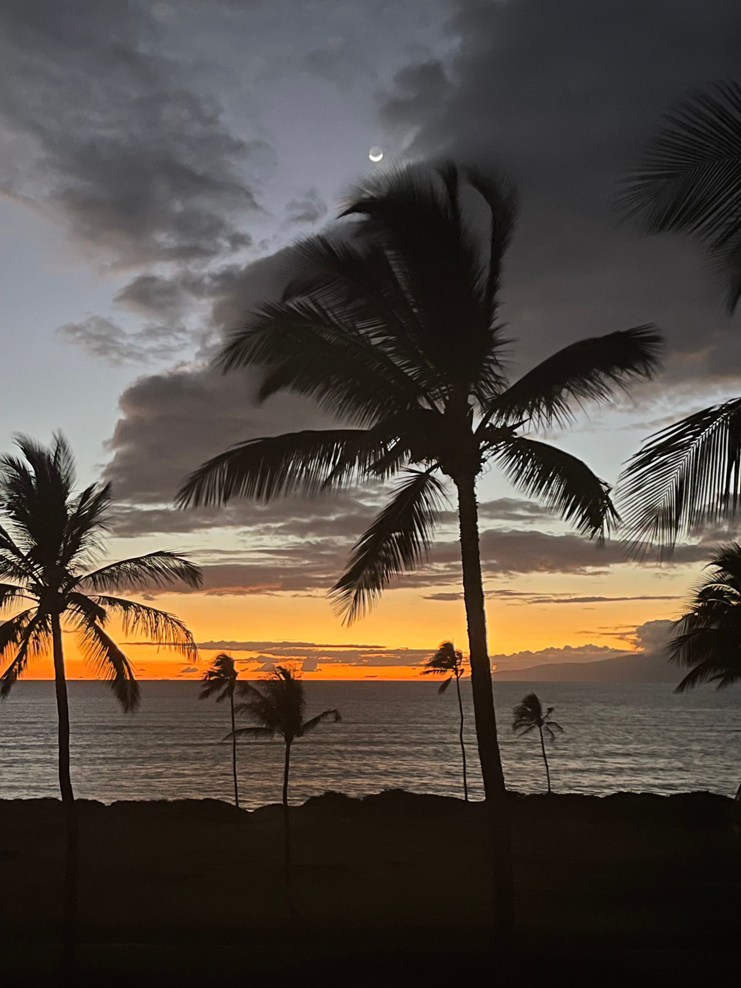 Condo in Kihei · ★4.95 · 1 bedroom · 1 bed · 1 private bath - Image 24