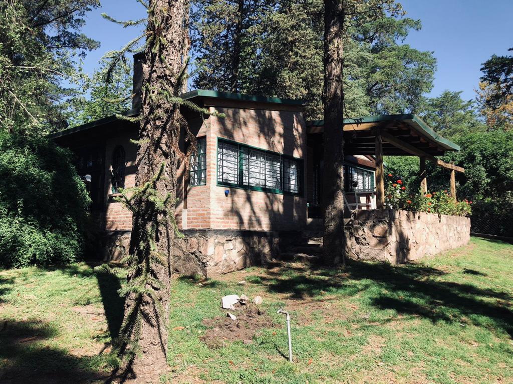 A cozy brick house is surrounded by lush greenery and tall trees, providing a serene setting. Large windows allow natural light to fill the interior, while a stone wall adds a rustic touch. An outdoor patio is visible, offering a space for relaxation.