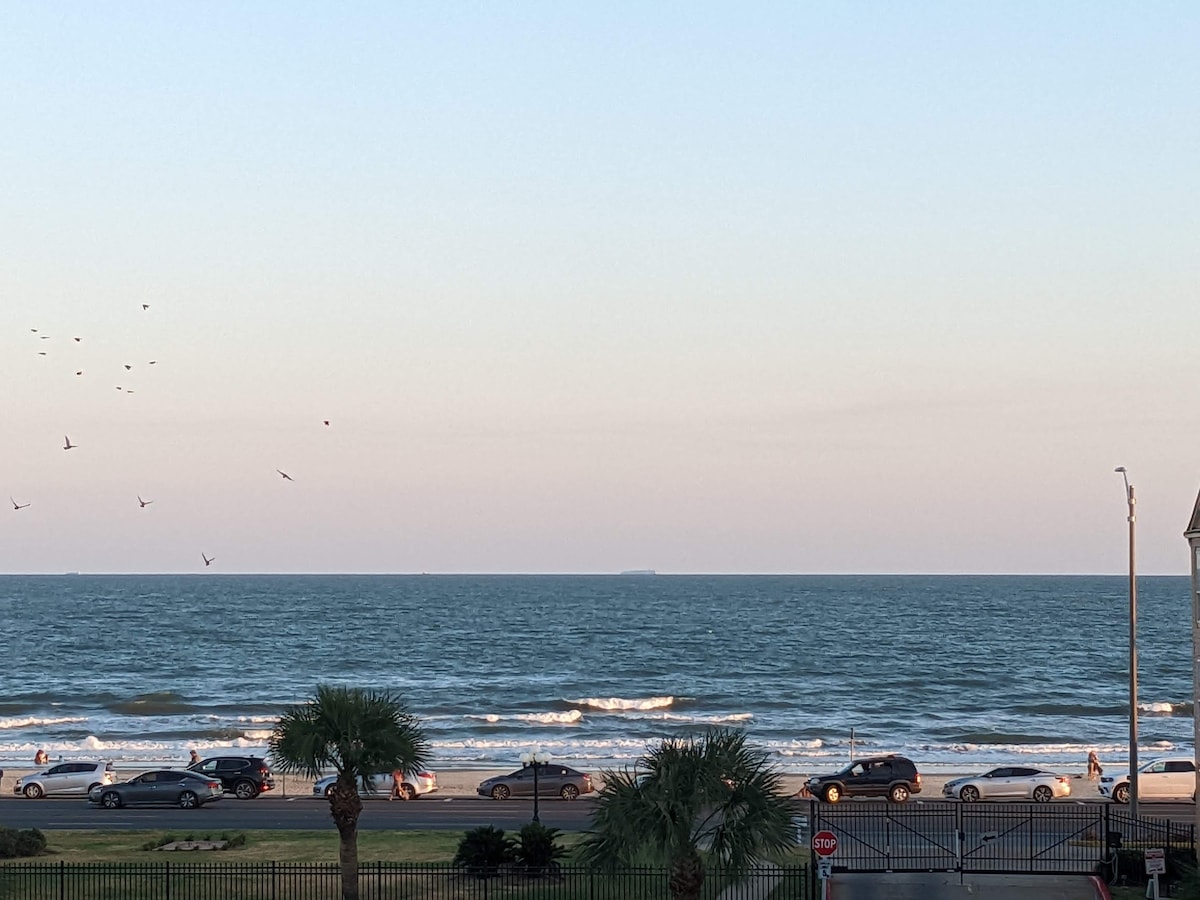 A panoramic view of the ocean features gentle waves lapping against the shoreline. The scene includes a grassy area with palm trees and a road lined with cars. Silhouettes of individuals can be seen along the beach, with birds flying in the sky.