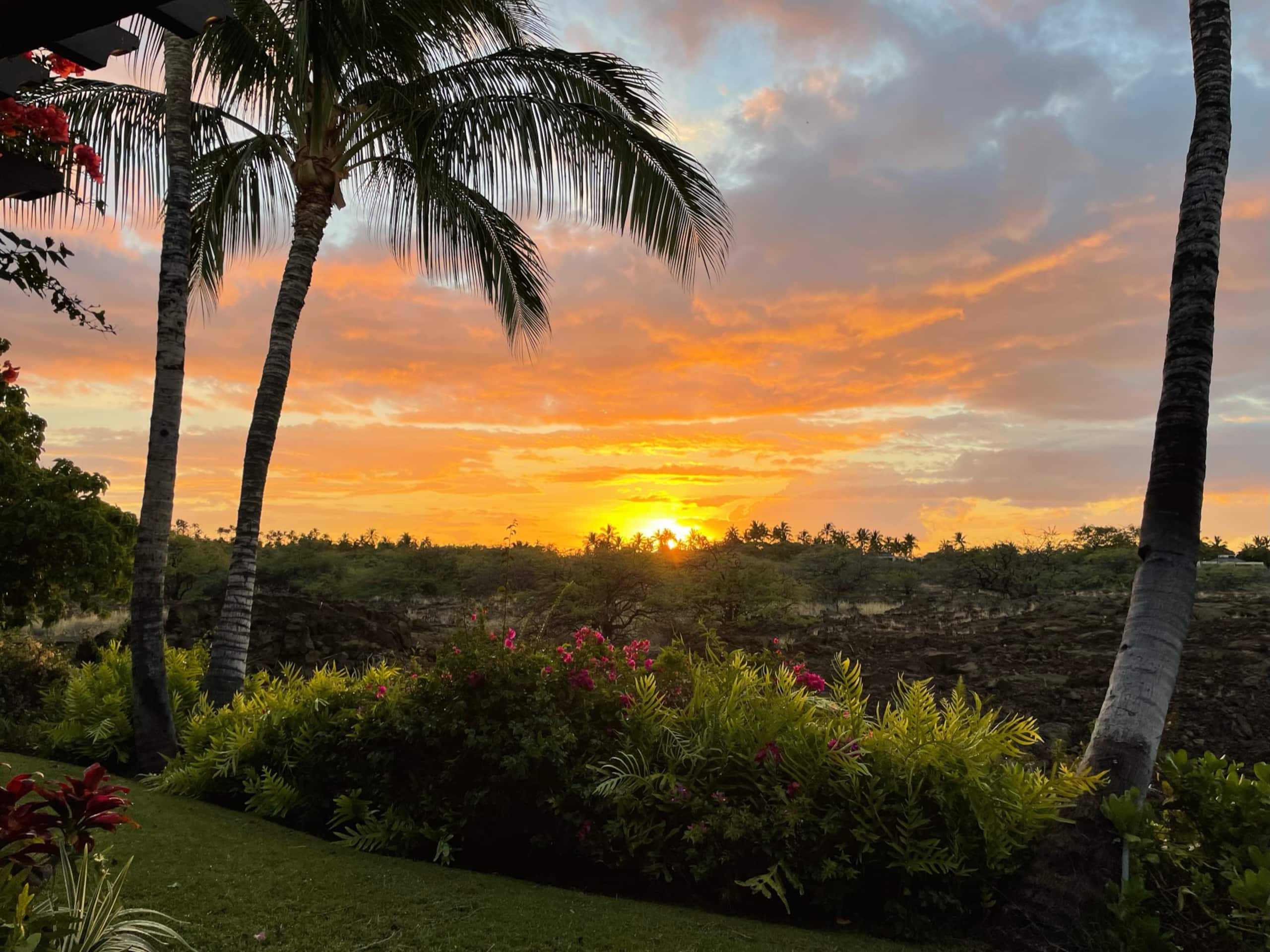 Townhouse in Waimea · ★4.92 · 3 bedrooms · 4 beds · 2 baths - Image 21