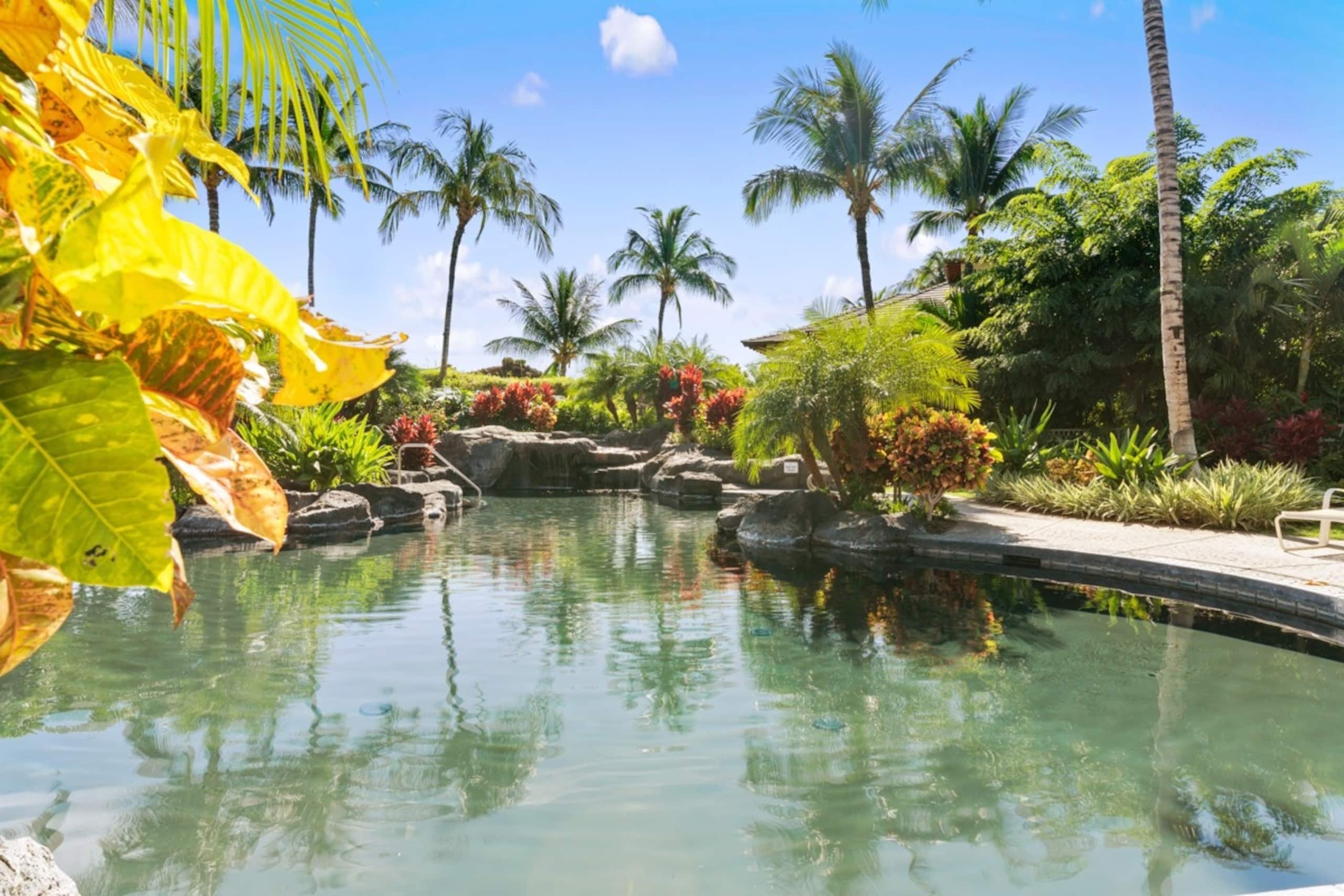 Townhouse in Waimea · ★4.92 · 3 bedrooms · 4 beds · 2 baths - Image 49