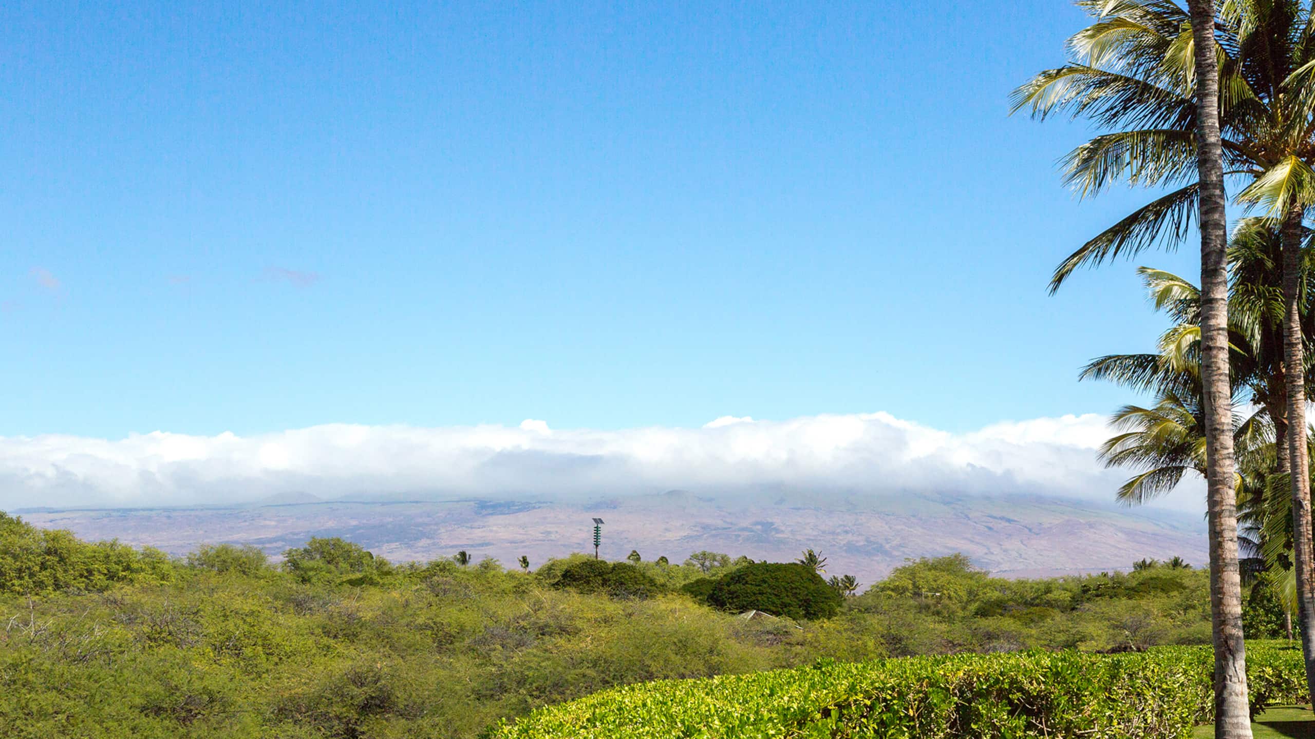Townhouse in Waimea · ★4.95 · 3 bedrooms · 5 beds · 3 private baths - Image 62