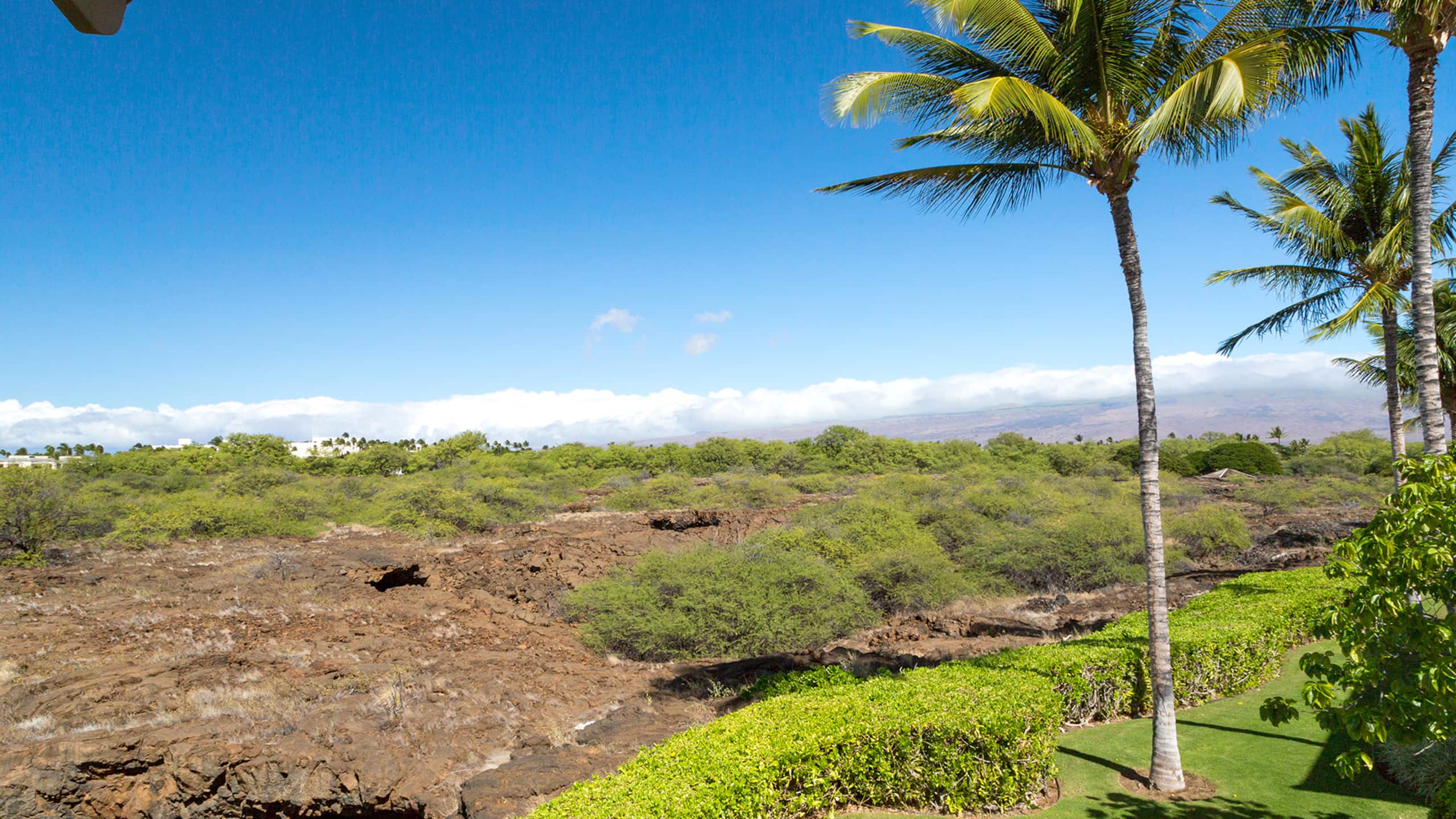 Townhouse in Waimea · ★4.95 · 3 bedrooms · 5 beds · 3 private baths - Image 65