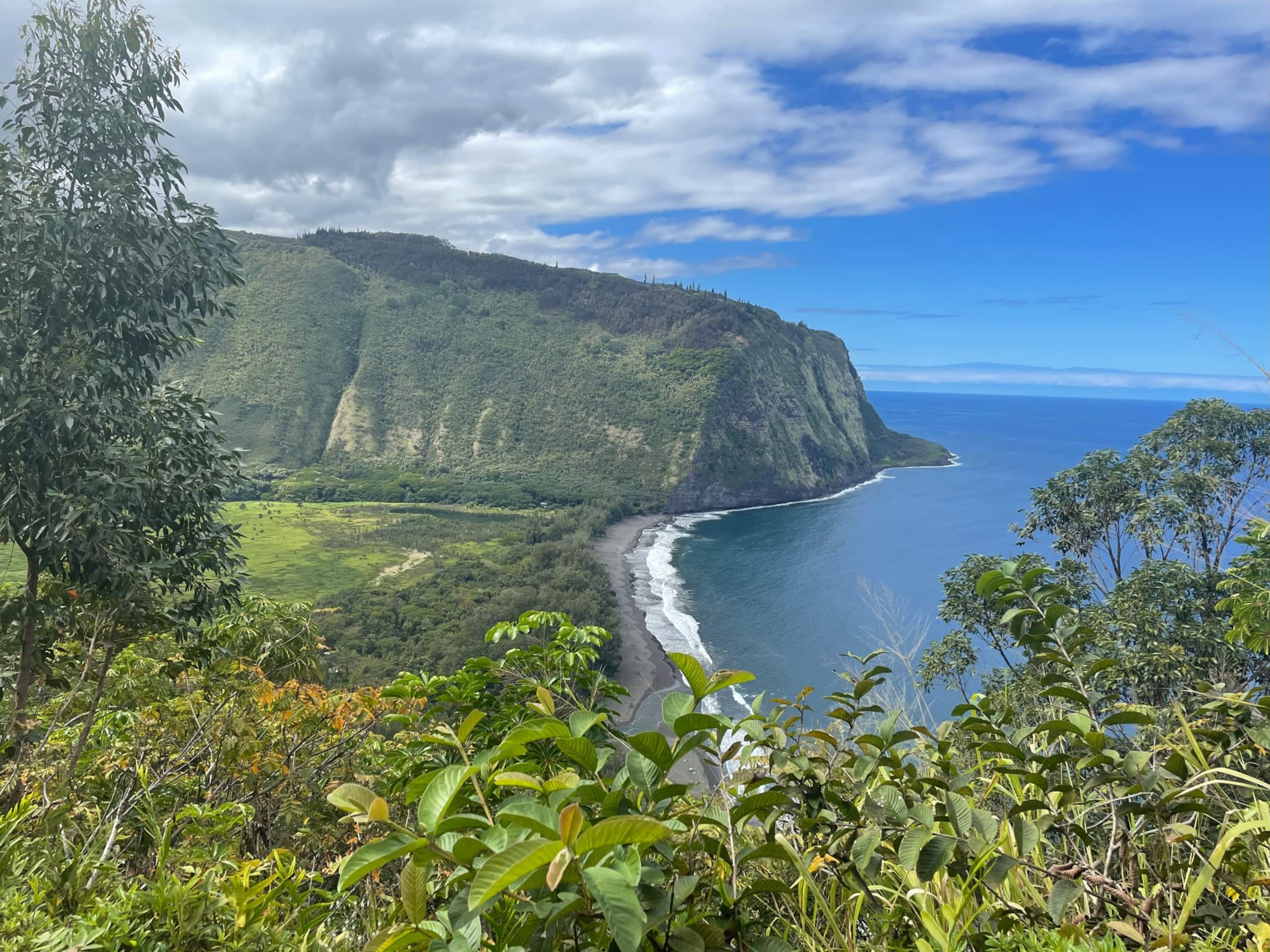 Townhouse in Waimea · ★4.95 · 3 bedrooms · 5 beds · 3 private baths - Image 73