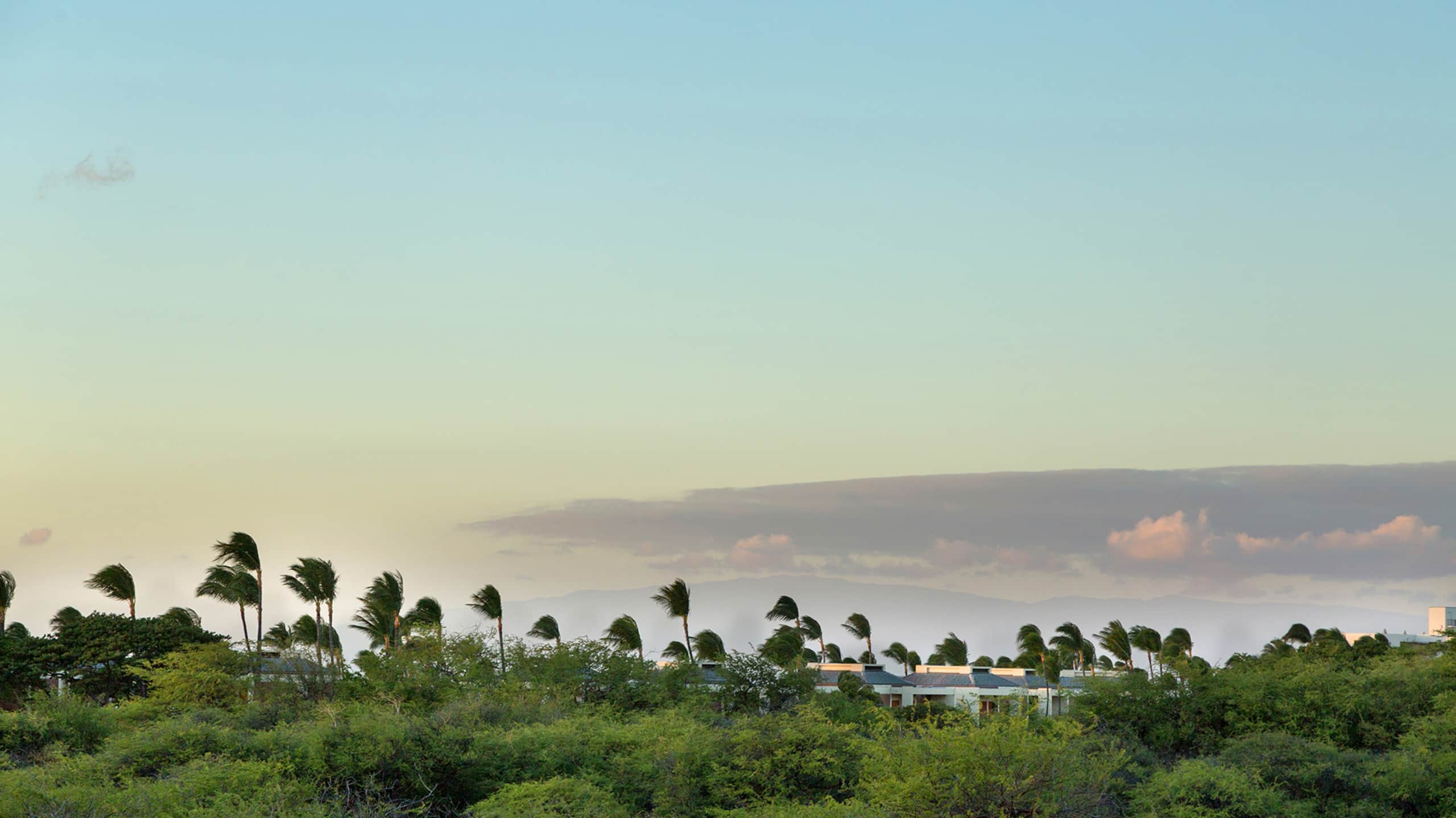 Townhouse in Waimea · ★4.95 · 3 bedrooms · 5 beds · 3 private baths - Image 58