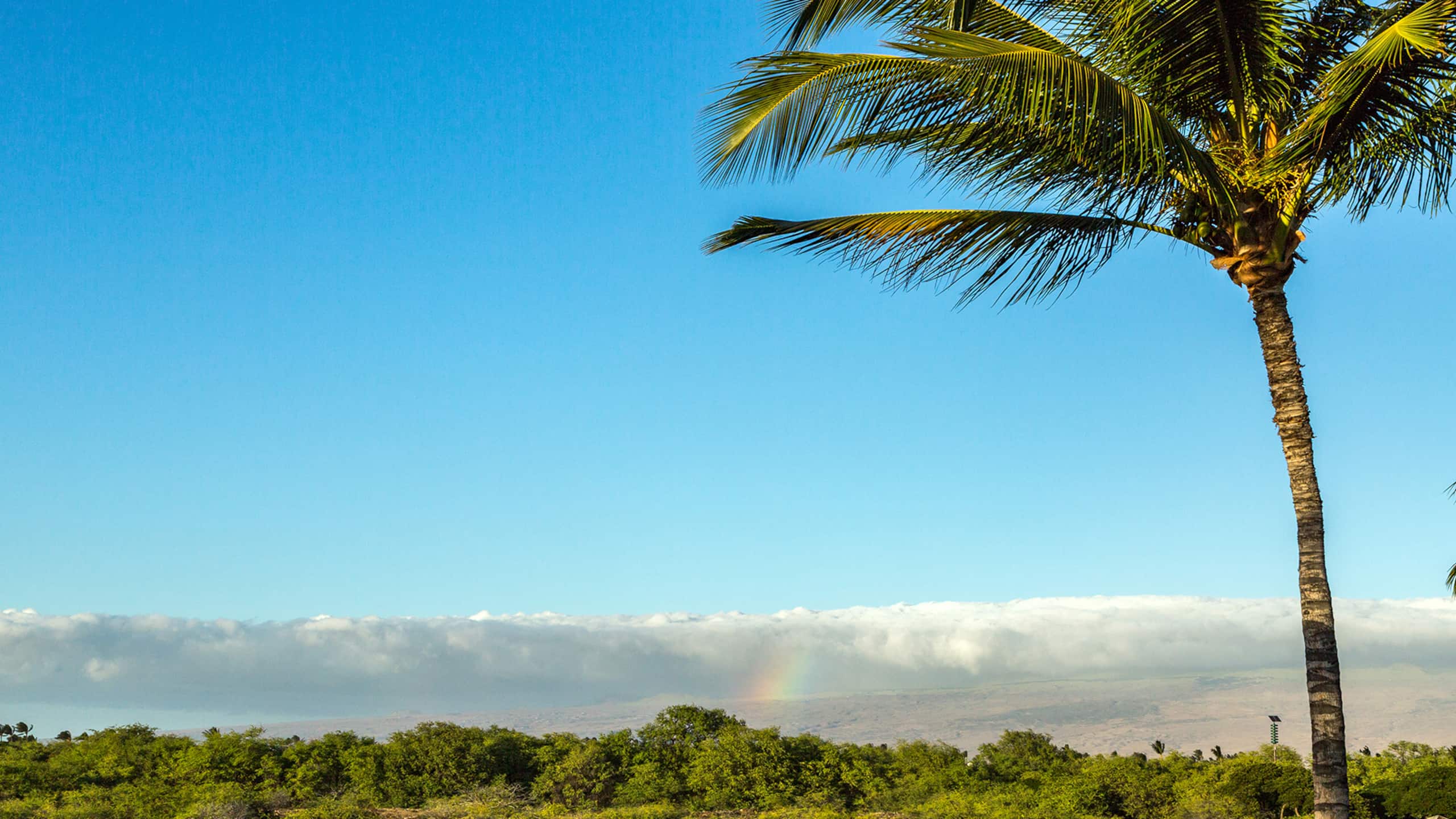 Townhouse in Waimea · ★4.95 · 3 bedrooms · 5 beds · 3 private baths - Image 64
