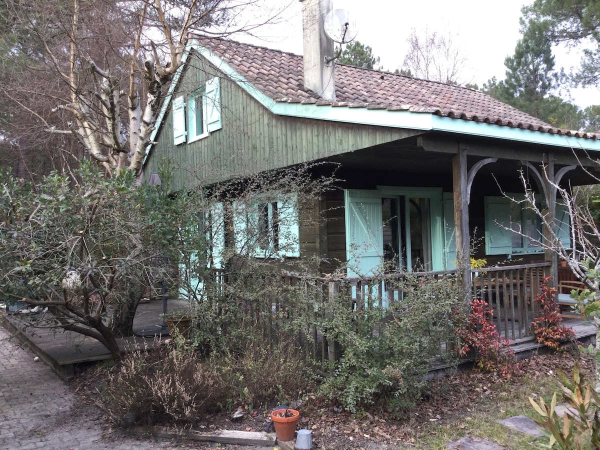 The wooden exterior of a cottage is visible, featuring light blue shutters and a rustic sloped roof. Surrounding foliage includes shrubs and small trees, with a mixture of greenery. A small wooden deck extends in front, enhancing the outdoor space.