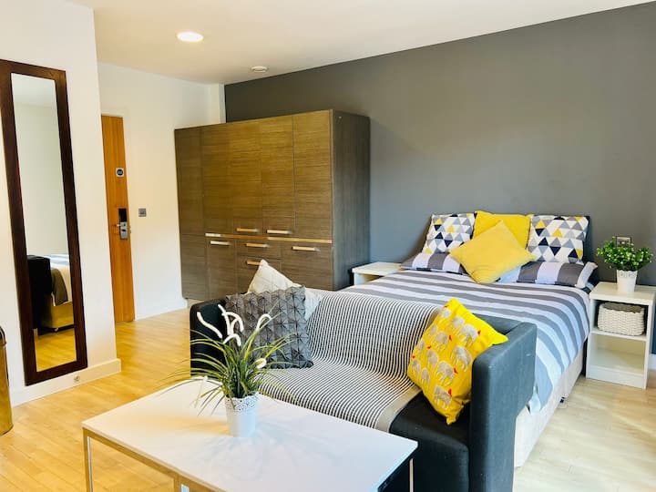 Spacious Studio Apartment in Zone 1 near Holborn Serviced apartments