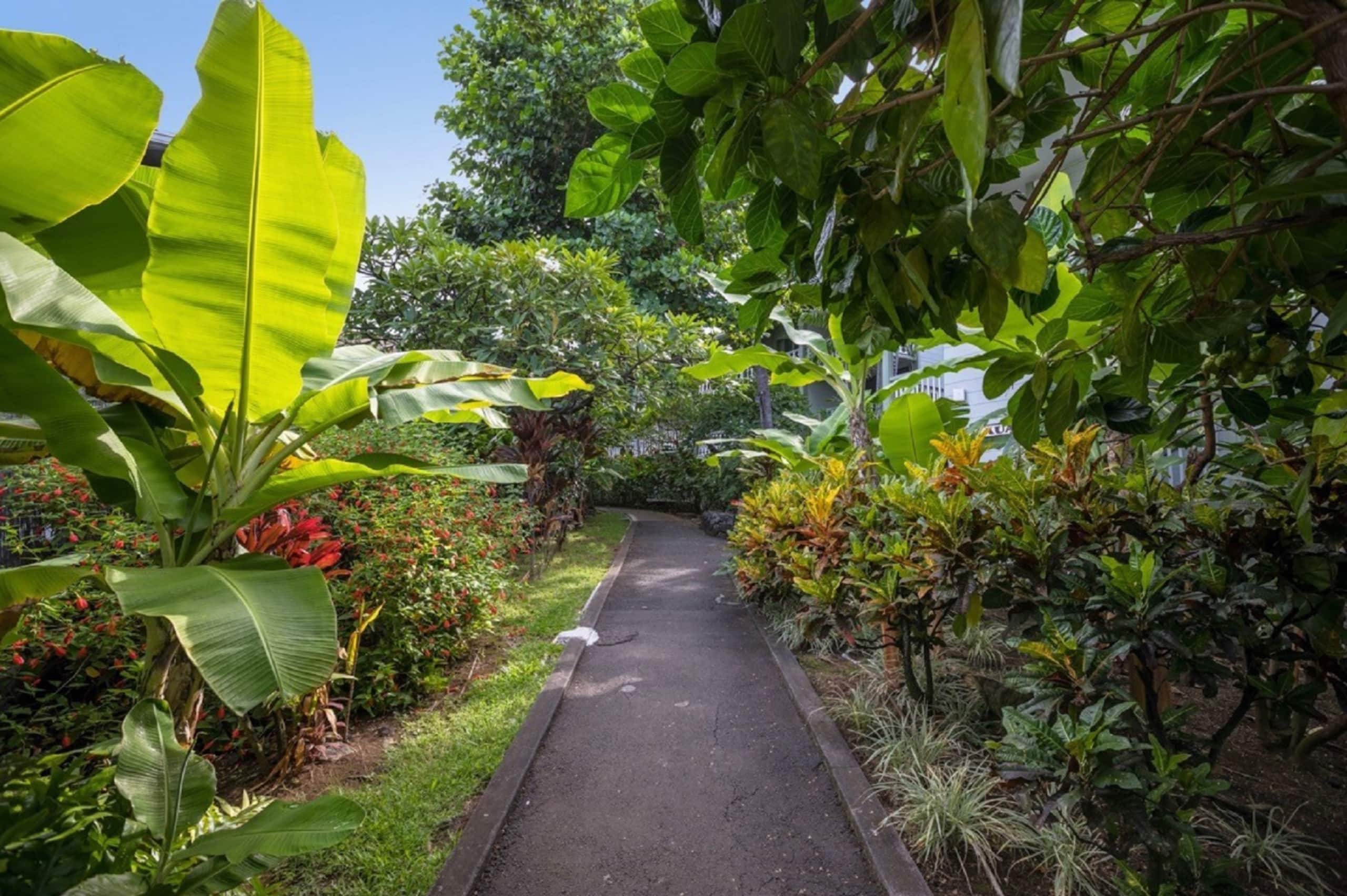 Condo in Kailua-Kona · ★4.88 · Studio · 2 beds · 1 bath - Image 28