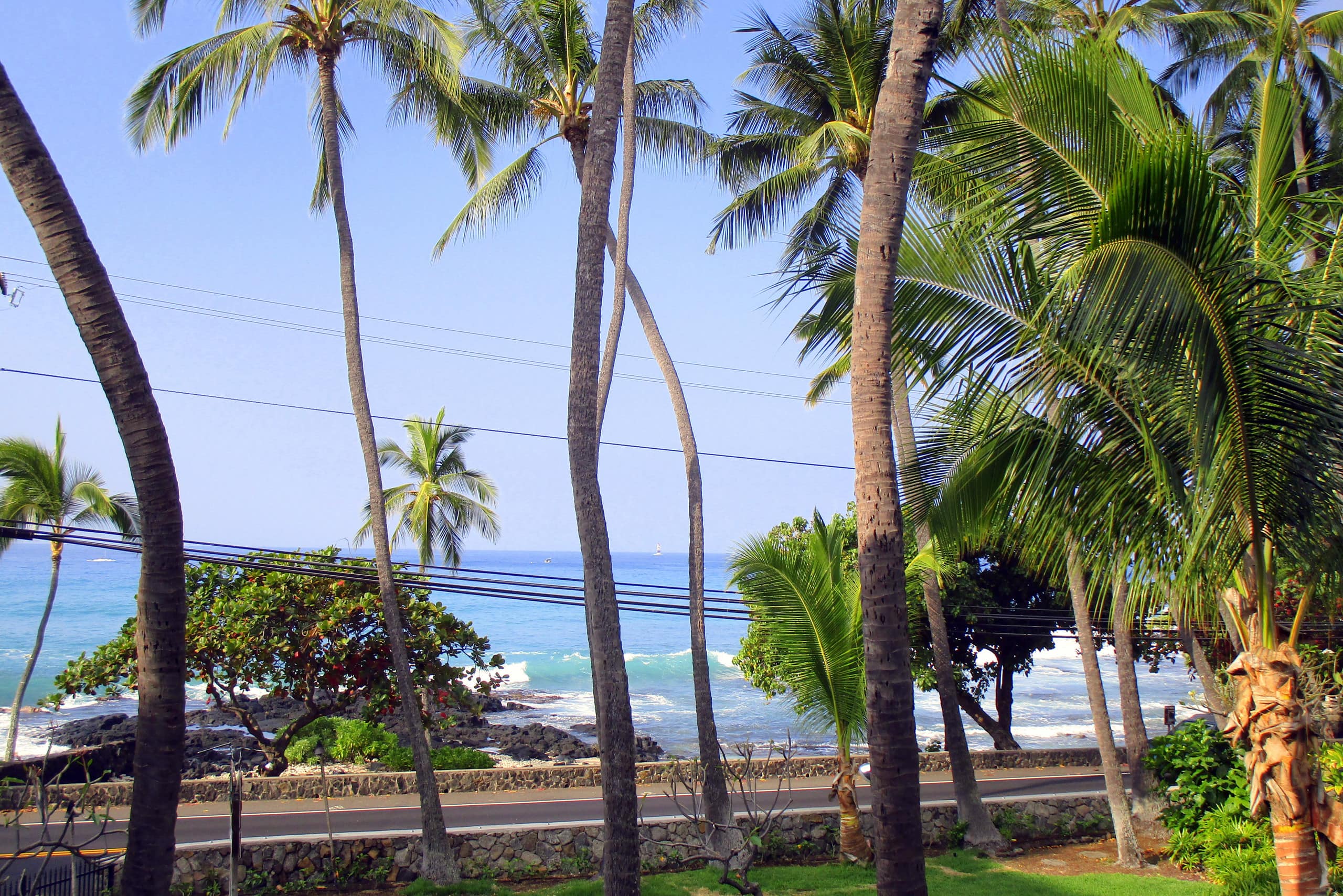 Condo in Kailua-Kona · ★4.88 · Studio · 2 beds · 1 bath - Image 25