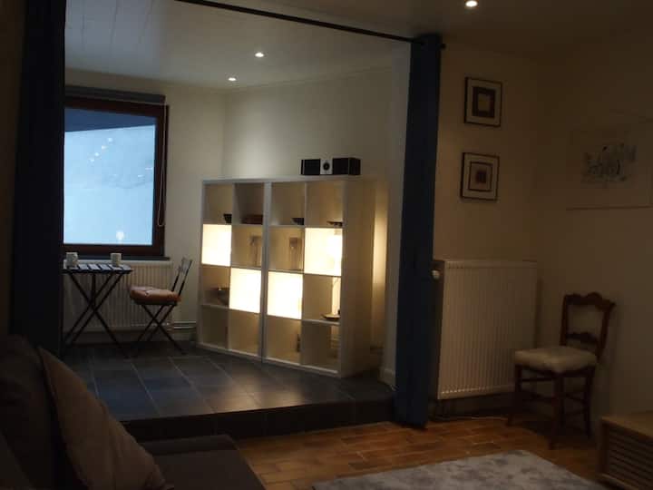 Appartement Chaleureux Entre Ville, Bois Et Forêt - Ixelles