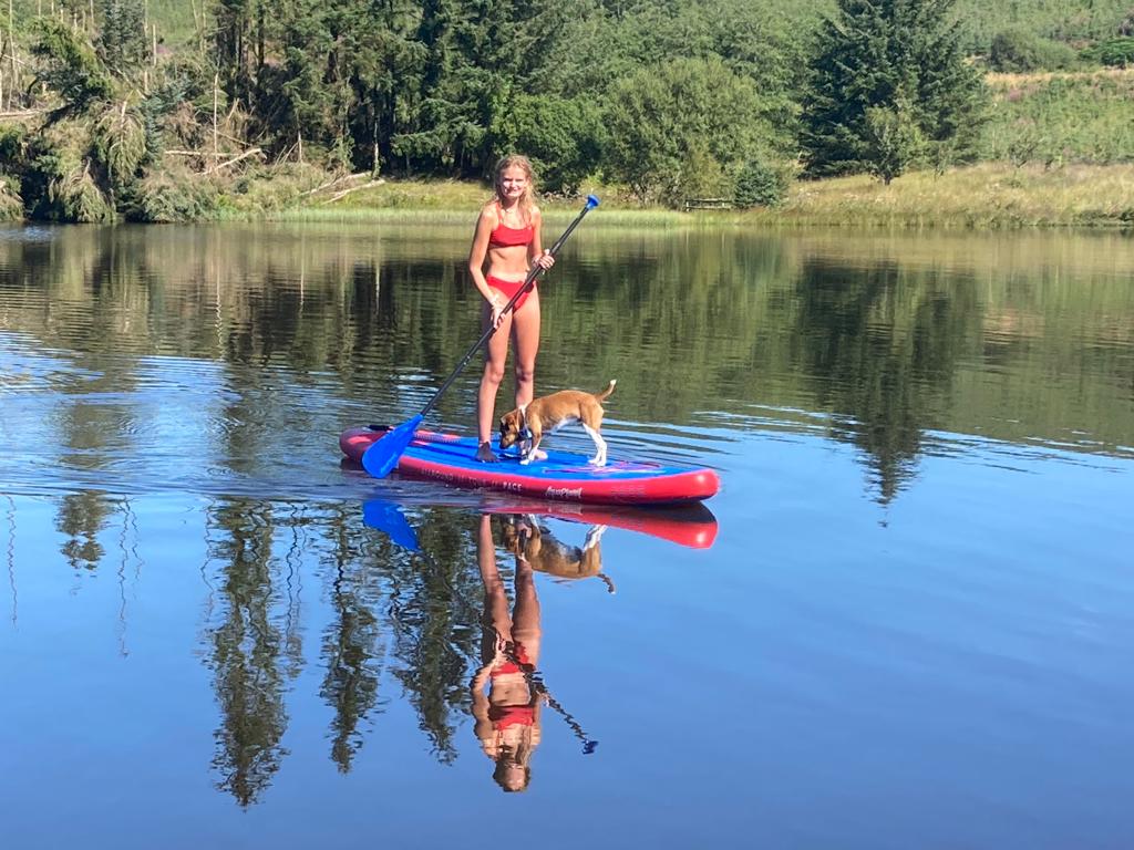 A person stands on a bright red paddle board in calm waters, with trees reflecting in the background. A dog walks along the board, contributing to a serene outdoor scene. Natural greenery surrounds the water, enhancing the tranquil environment.