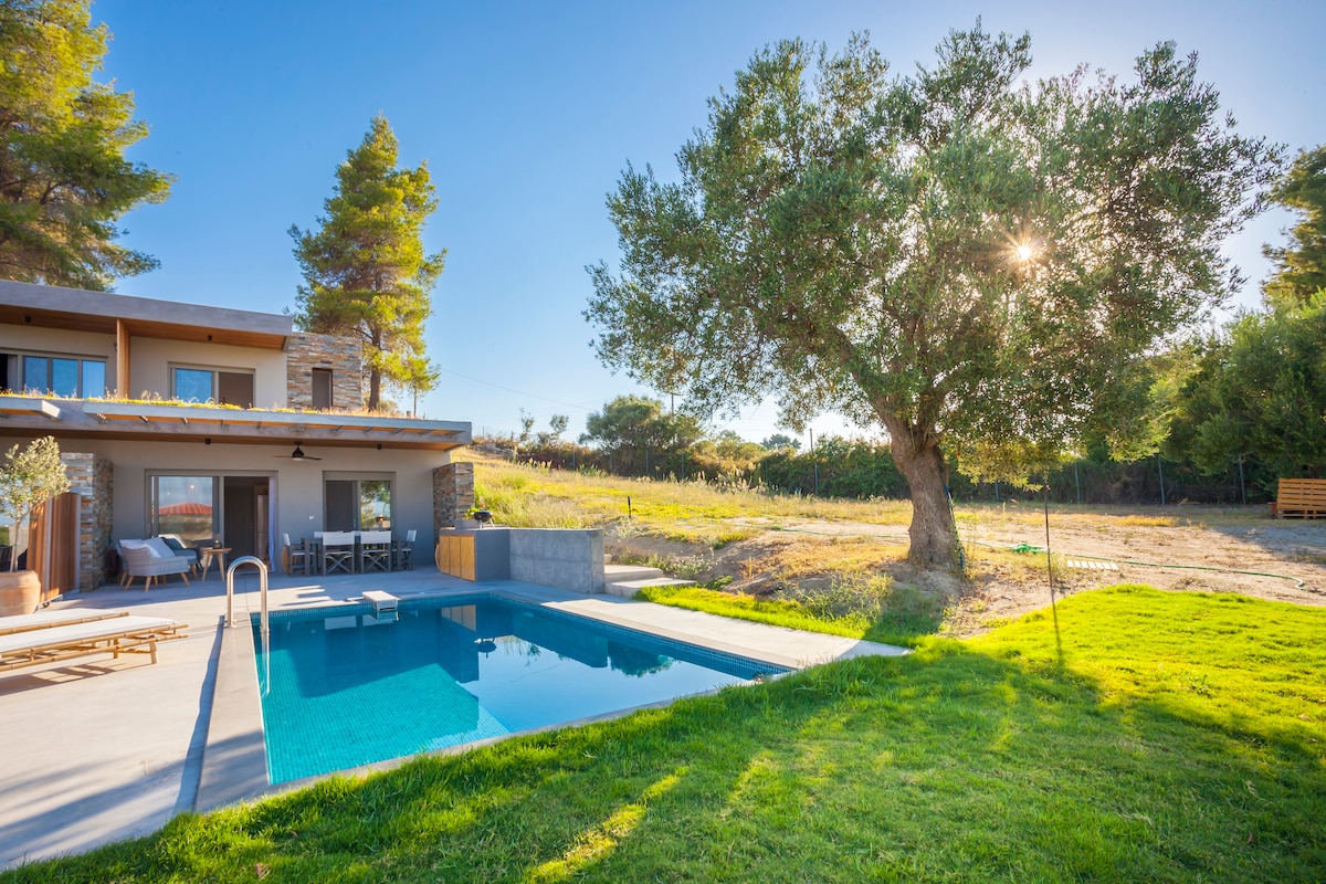 A private swimming pool is framed by a neatly kept lawn and a large olive tree, casting gentle shadows. The villa features a spacious terrace with seating, while the surrounding landscape is open and green, enhancing a sense of tranquility.