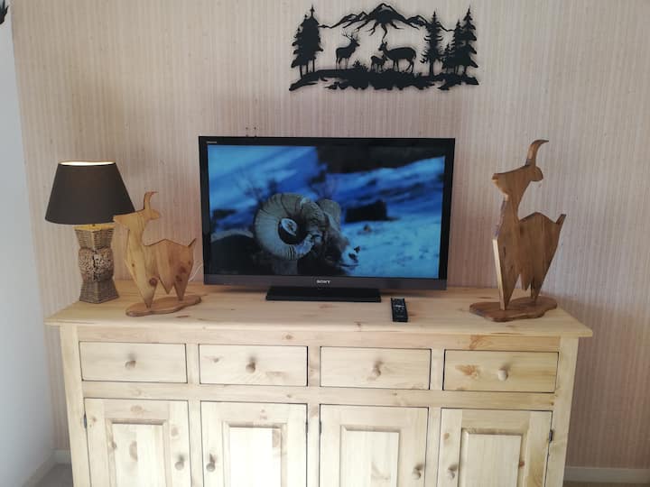 Televízor SONY s veľkou obrazovkou a diaľkovým ovládaním. 
Lampa .
Wellness, nízke, dostatok úložných priestorov.
ELEKTRICKÝ STROJ NA FONDUE. 
ELEKTRICKÝ STROJ NA RACLETTE.
Mobilná nabíjačka pre malé spotrebiče 