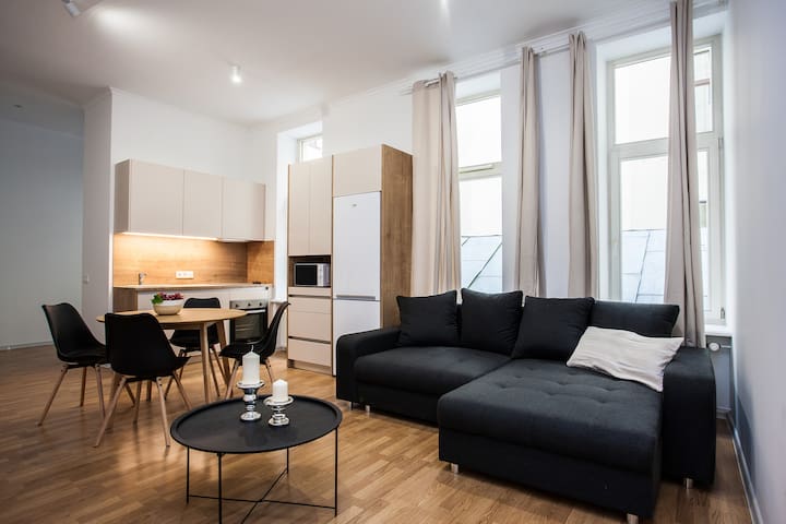 Lovely 4-bedroom rental unit in Riga