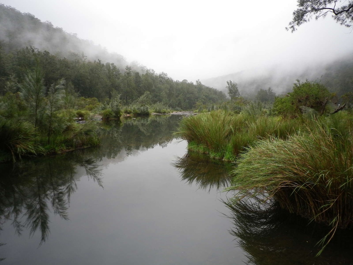 A serene river scene is captured under a misty sky, with reflections of the surrounding greenery visible on the water's surface. Lush, tall grasses line the banks, creating a tranquil atmosphere as the mist envelops the landscape.