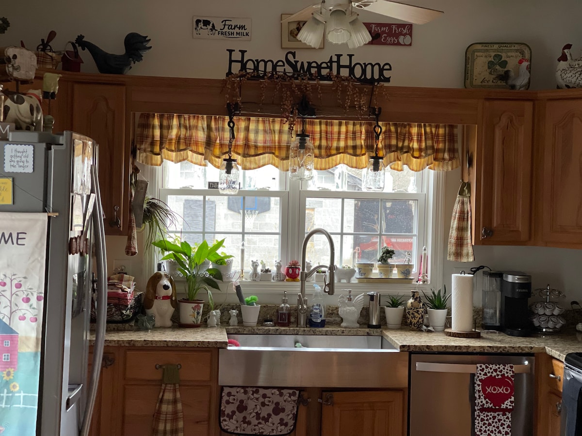A spacious kitchen is visible, showcasing wooden cabinetry and a large stainless-steel sink. A window adorned with checkered curtains allows natural light to enter, surrounded by potted plants. Various kitchen items are neatly arranged on the countertop, contributing to a welcoming environment.