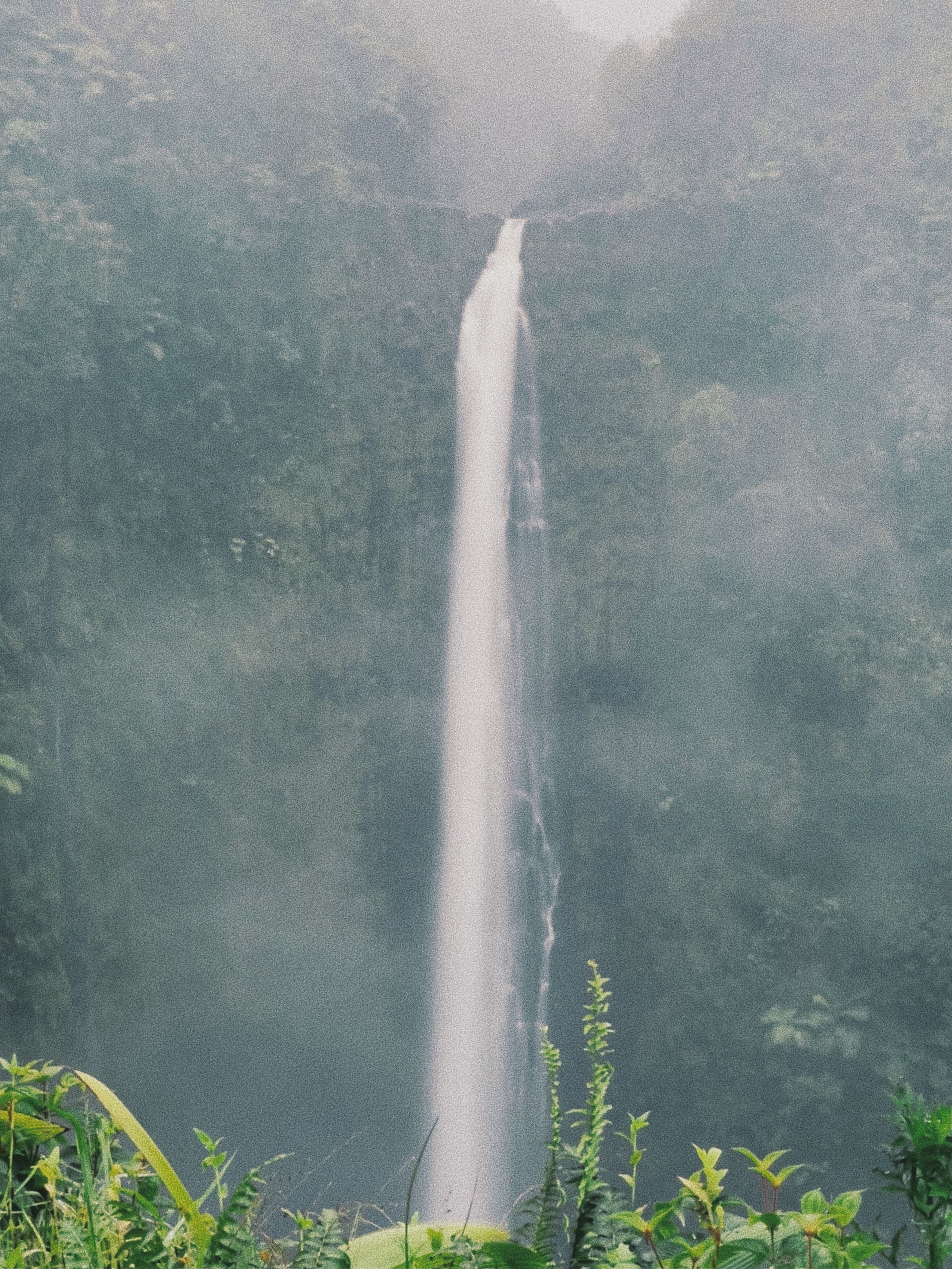 Inn at Akaka Falls - 15 Minutes to Hilo - Rm#3 - Image 11