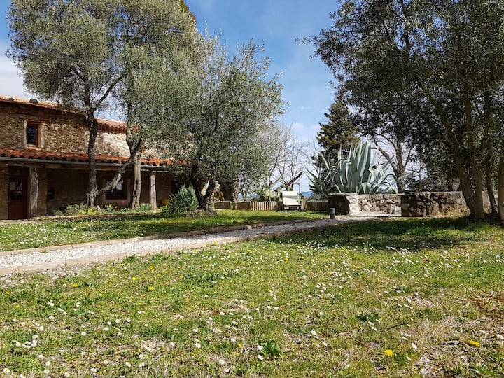 Olivette apartment with southern French charm Apartments for Rent in Bagard, Occitanie