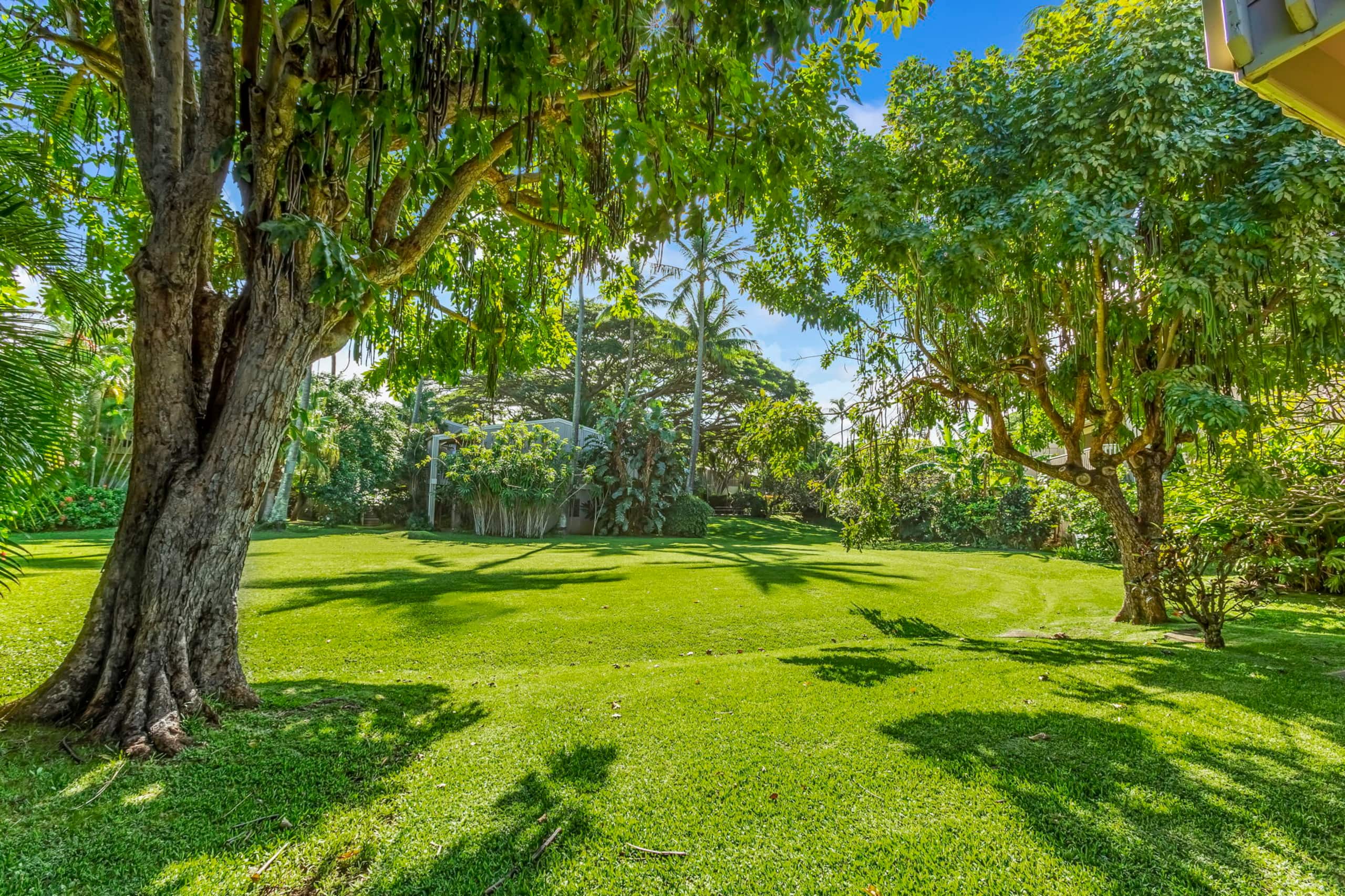 Condo in Lahaina · ★4.95 · 1 bedroom · 1 bed · 1 bath - Image 43