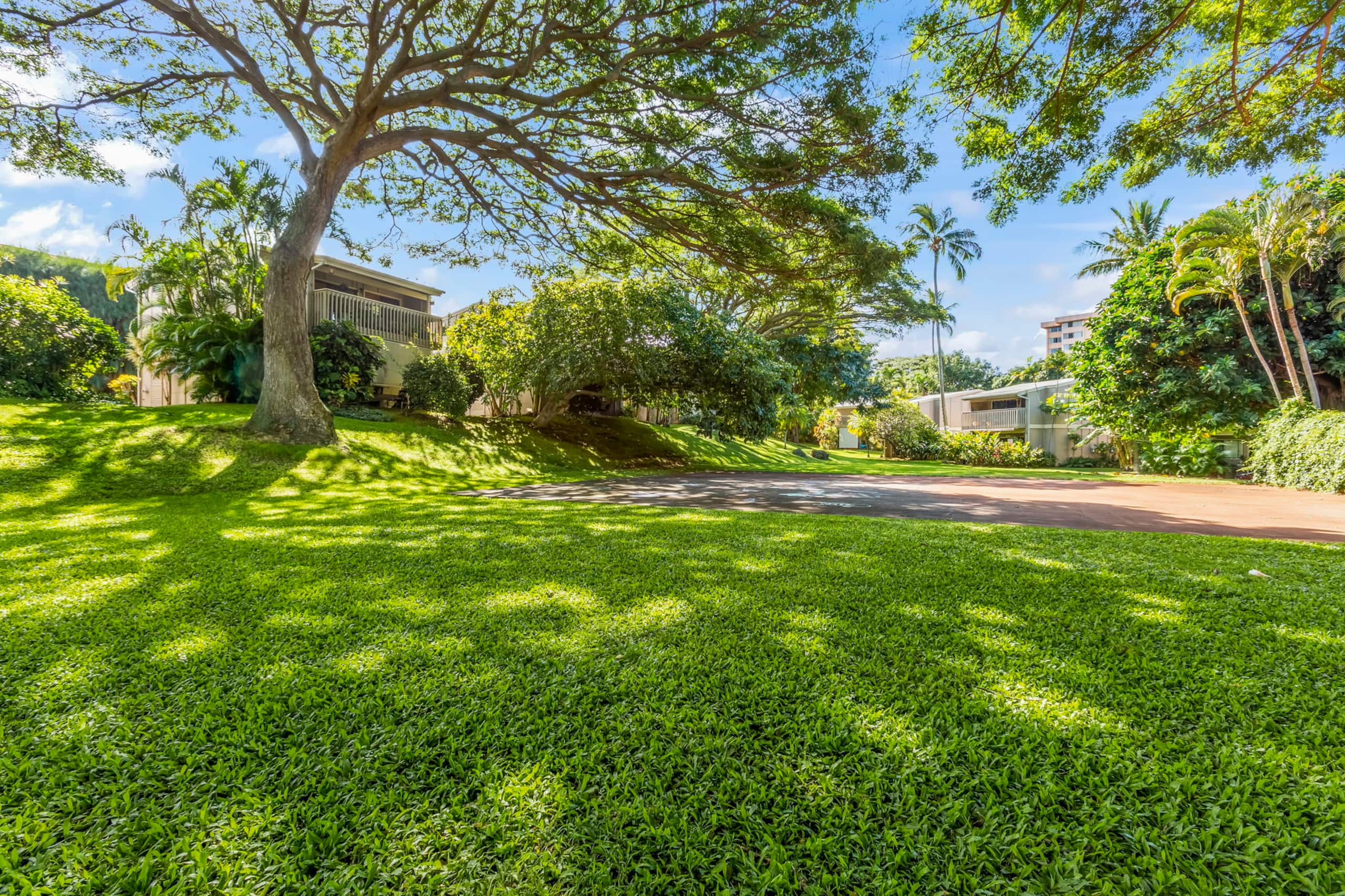 Condo in Lahaina · ★4.95 · 1 bedroom · 1 bed · 1 bath - Image 39